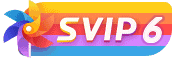 等级-SVIP6-爱分享资源网